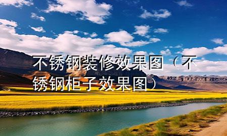 不銹鋼裝修效果圖（不銹鋼柜子效果圖）