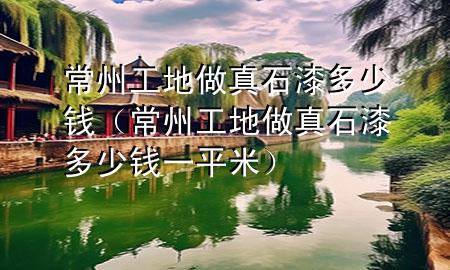 常州工地做真石漆多少錢（常州工地做真石漆多少錢一平米）