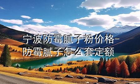 寧波防霉膩?zhàn)臃蹆r(jià)格-防霉膩?zhàn)釉趺刺锥~