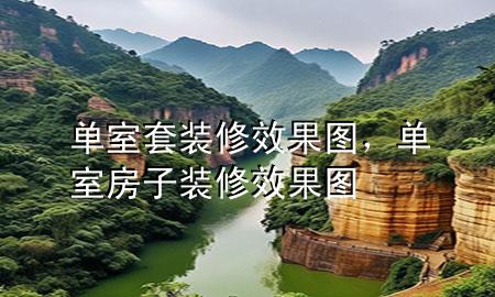單室套裝修效果圖，單室房子裝修效果圖