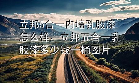 立邦5合一內(nèi)墻乳膠漆怎么樣，立邦五合一乳膠漆多少錢(qián)一桶圖片