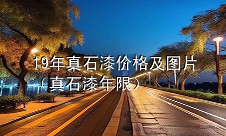 19年真石漆價格及圖片（真石漆年限）