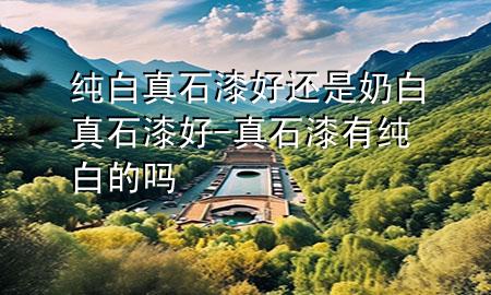 純白真石漆好還是奶白真石漆好-真石漆有純白的嗎