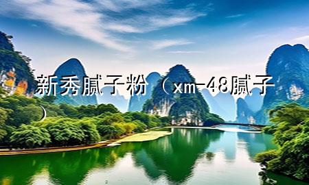新秀膩子粉（xm-48膩子）