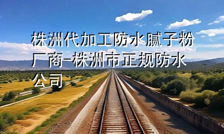 株洲代加工防水膩?zhàn)臃蹚S商-株洲市正規(guī)防水公司