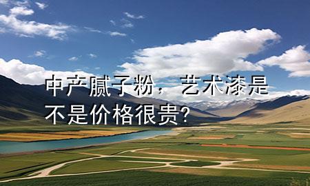 中產(chǎn)膩?zhàn)臃?，藝術(shù)漆是不是價(jià)格很貴?