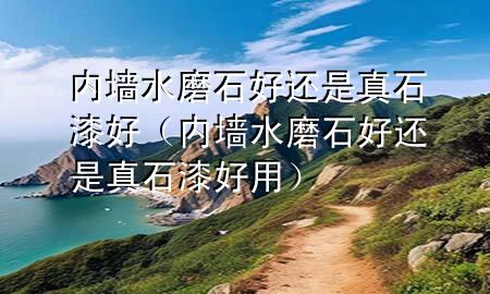 內(nèi)墻水磨石好還是真石漆好（內(nèi)墻水磨石好還是真石漆好用）