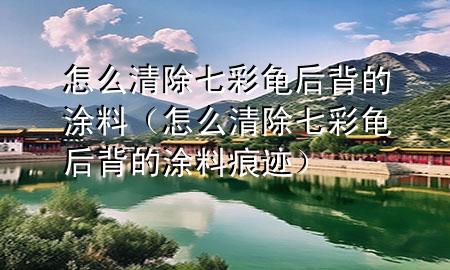 怎么清除七彩龜后背的涂料（怎么清除七彩龜后背的涂料痕跡）