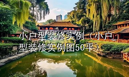 小戶型裝修實(shí)例（小戶型裝修實(shí)例圖50平）