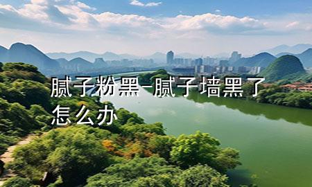 膩?zhàn)臃?黑-膩?zhàn)訅诹嗽趺崔k