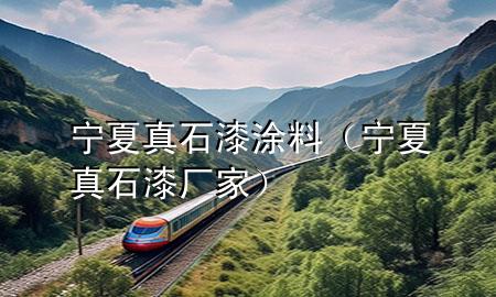 寧夏真石漆涂料（寧夏真石漆廠家）