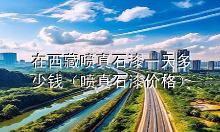 在西藏噴真石漆一天多少錢（噴真石漆價格）