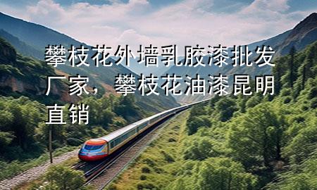 攀枝花外墻乳膠漆批發(fā)廠家，攀枝花油漆昆明直銷