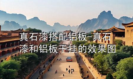 真石漆搭配鋁板-真石漆和鋁板干掛的效果圖