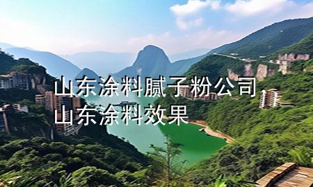 山東涂料膩子粉公司，山東涂料效果
