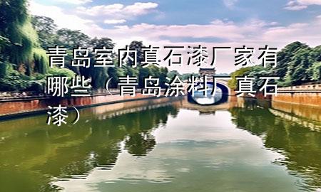 青島室內(nèi)真石漆廠家有哪些（青島涂料廠真石漆）