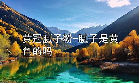 黃冠膩子粉-膩子是黃色的嗎