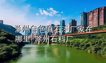 滁州白色真石漆廠家在哪里-滁州石料廠