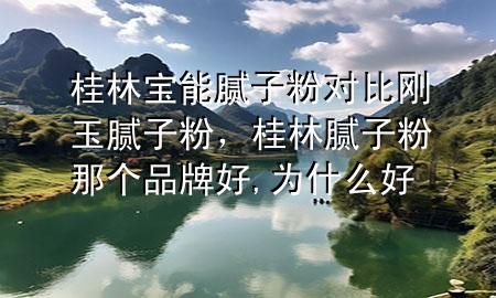 桂林寶能膩子粉對比剛玉膩子粉，桂林膩子粉那個品牌好,為什么好