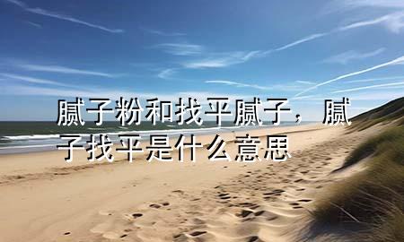 膩子粉和找平膩子，膩子找平是什么意思