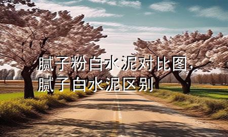 膩?zhàn)臃?白水泥 對(duì)比圖，膩?zhàn)影姿鄥^(qū)別