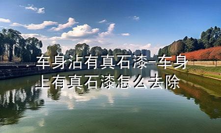 車身沾有真石漆-車身上有真石漆怎么去除