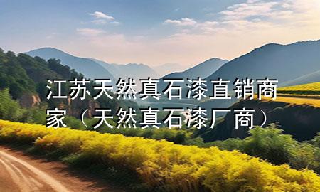 江蘇天然真石漆直銷商家（天然真石漆廠商）