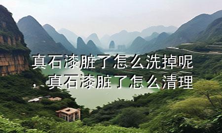 真石漆臟了怎么洗掉呢，真石漆臟了怎么清理