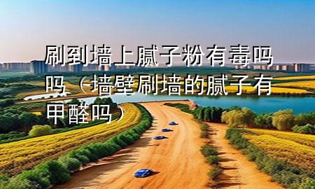 刷到墻上膩子粉有毒嗎嗎（墻壁刷墻的膩子有甲醛嗎）