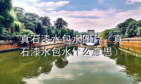 真石漆水包水圖片（真石漆水包水什么意思）