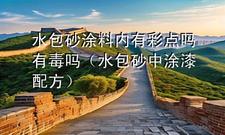 水包砂涂料內有彩點嗎有毒嗎（水包砂中涂漆配方）