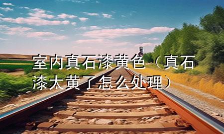 室內(nèi)真石漆黃色（真石漆太黃了怎么處理）