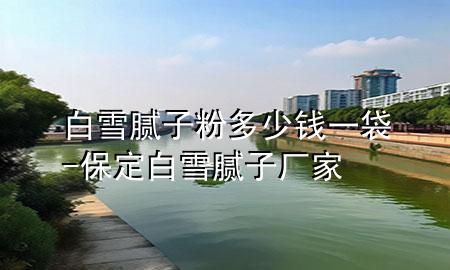 白雪膩子粉多少錢一袋-保定白雪膩子廠家