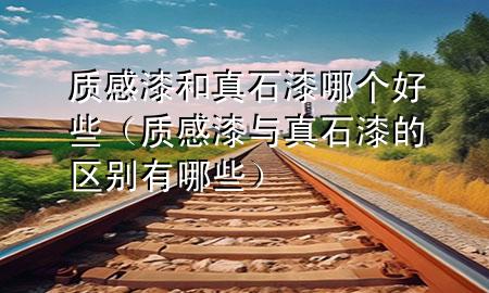 質(zhì)感漆和真石漆哪個好些（質(zhì)感漆與真石漆的區(qū)別有哪些）