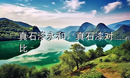 真石漆永和，真石漆對(duì)比