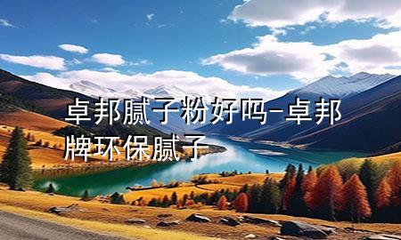 卓邦膩子粉好嗎-卓邦牌環(huán)保膩子