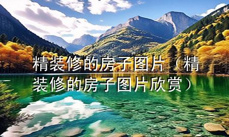 精裝修的房子圖片（精裝修的房子圖片欣賞）