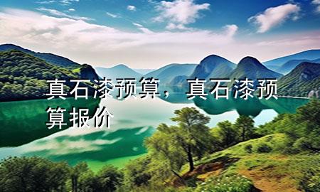 真石漆預(yù)算，真石漆預(yù)算報(bào)價(jià)