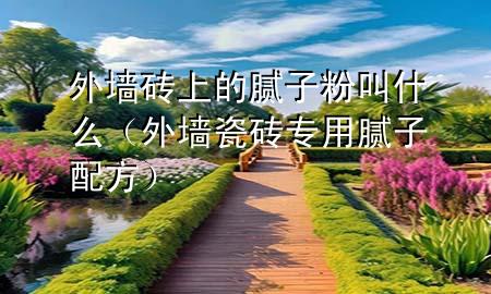 外墻磚上的膩子粉叫什么（外墻瓷磚專用膩子配方）
