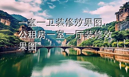 一室一衛(wèi)裝修效果圖，公租房一室一廳裝修效果圖