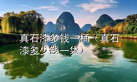 真石漆多錢一桶（真石漆多少錢一袋）