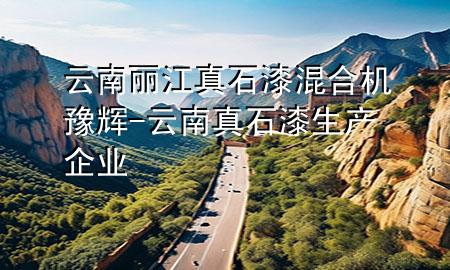 云南麗江真石漆混合機豫輝-云南真石漆生產(chǎn)企業(yè)