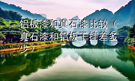 鋁板漆和真石漆比較（真石漆和鋁板干掛 差多少）