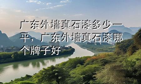 廣東外墻真石漆多少一平，廣東外墻真石漆哪個牌子好