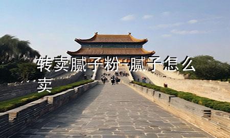 轉(zhuǎn)賣膩?zhàn)臃?膩?zhàn)釉趺促u