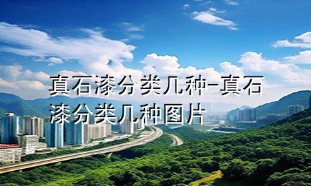 真石漆分類幾種-真石漆分類幾種圖片