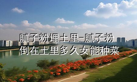 膩子粉埋土里-膩子粉倒在土里多久女能種菜