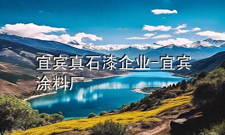 宜賓真石漆企業(yè)-宜賓涂料廠