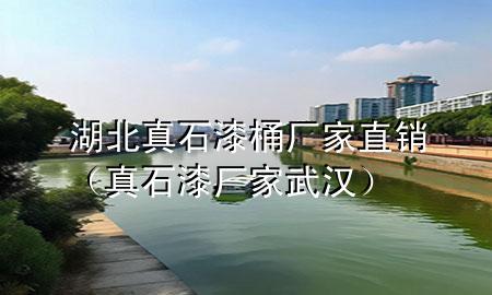 湖北真石漆桶廠(chǎng)家直銷(xiāo)（真石漆廠(chǎng)家武漢）
