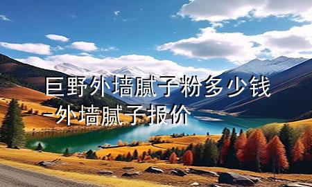 巨野外墻膩子粉多少錢-外墻膩子報價